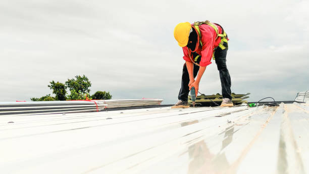 Best Roofing for New Construction  in Fall River, WI