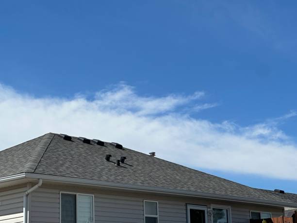 Best Wood Shake Roofing  in Fall River, WI